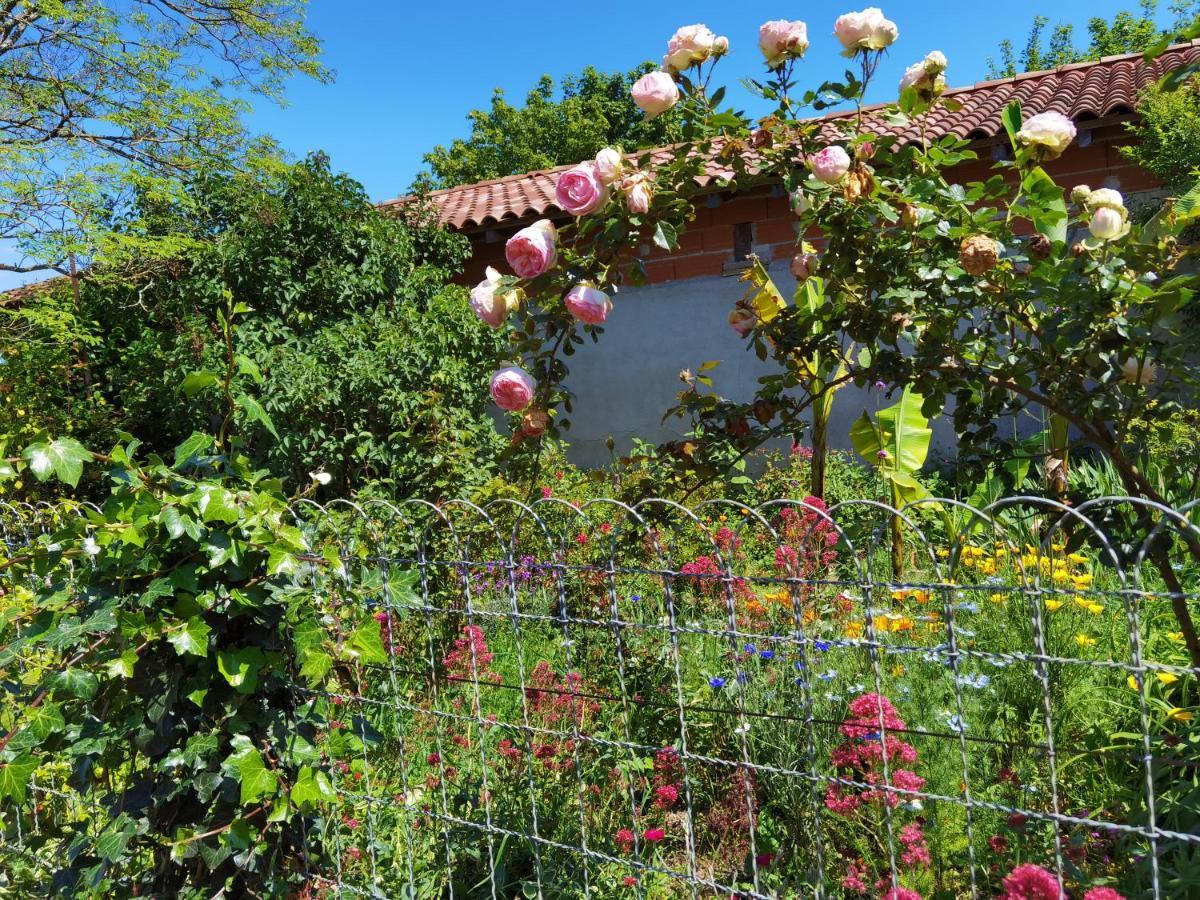 Les Hauts De Grazac, Chambres Et Tables D'Hotes Grazac  Exterior foto